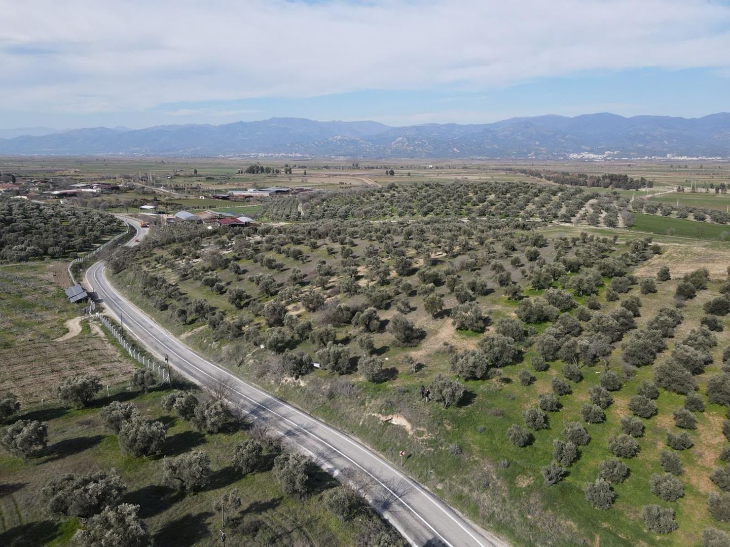 AYDIN/YENİPAZAR DİRECİK NALDÖKEN'DE 19.850M2 SATILIK TARLA 